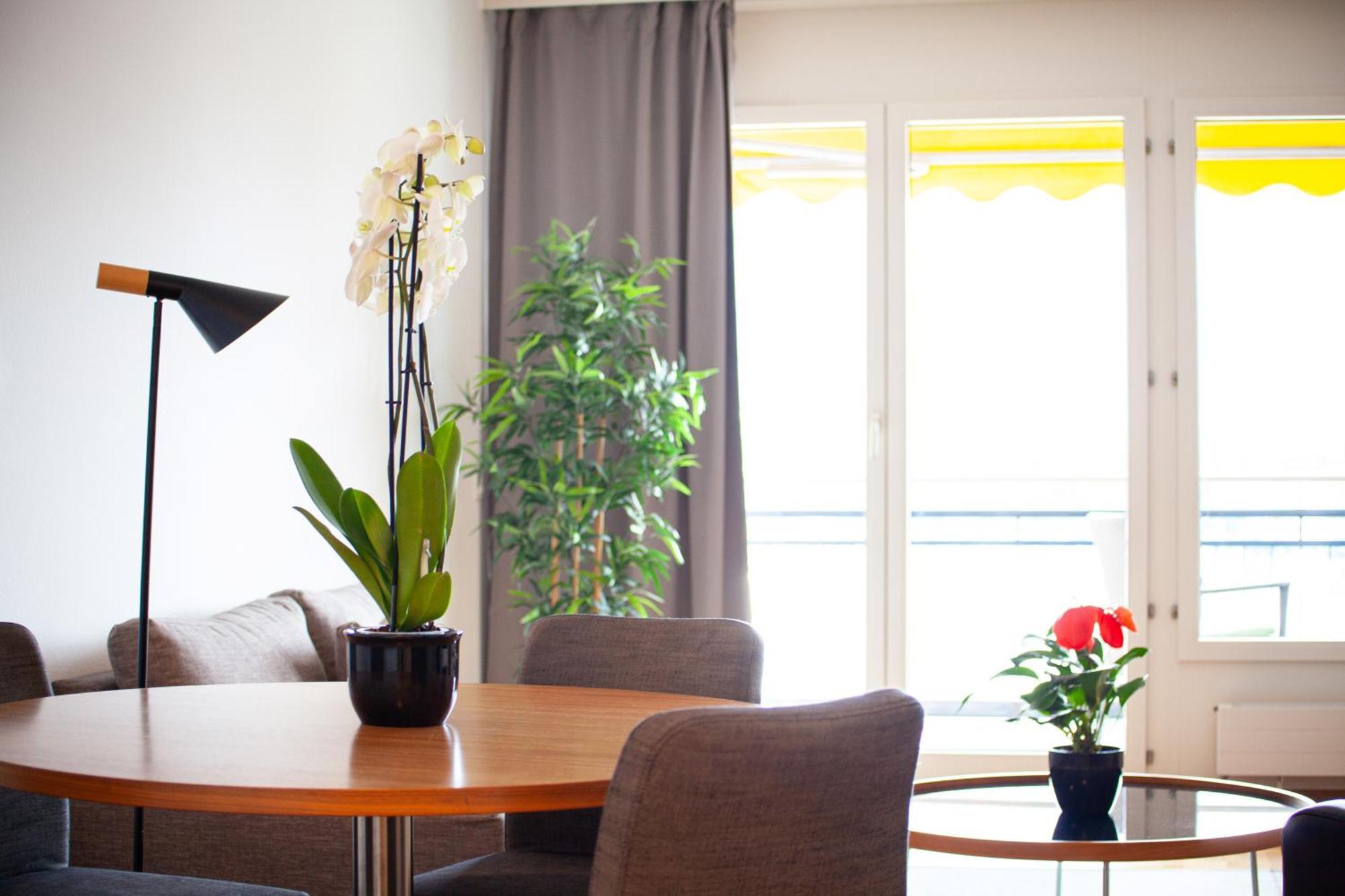 Tertianum Residenza Al Parco Appartements & Restaurant Muralto Eksteriør billede